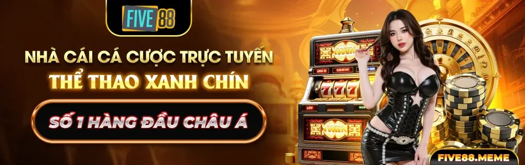 Hình ảnh minh họa bài viết nổi bật về sức hút của 5xyz link vào